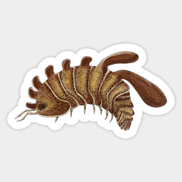 Stigmops howensis Isopod Sticker by paintedpansy